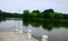 东湖公园7