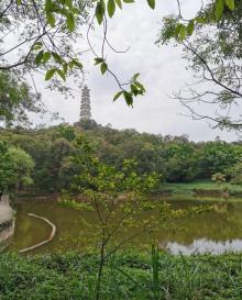 榴花公园6