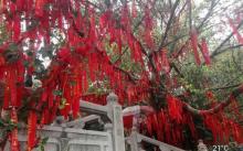榴花公园9