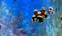 海潭水族馆1