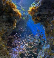 海潭水族馆2