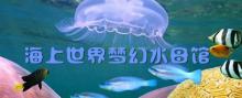 海上世界28