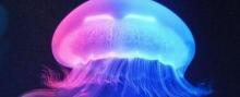 海上世界19