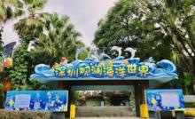 观澜海洋世界24