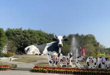 光明农场大观园11