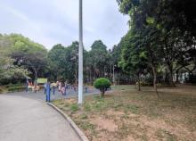 西丽公园2