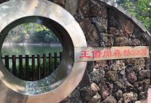 王借岗森林公园7