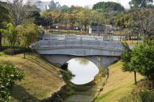 王借岗森林公园4