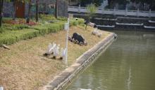 王借岗森林公园3