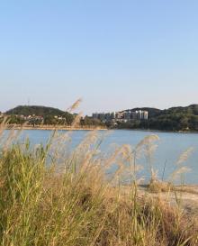 芙蓉省级旅游度假区旅游部4
