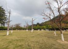 蝴蝶洲公园2