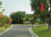 无忧花园2