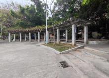 南洲街沥蚬园4