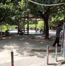 南洲街沥蚬园5