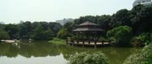 塘美荔枝公园5