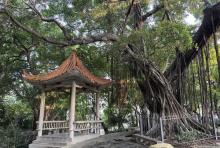 城西公园1