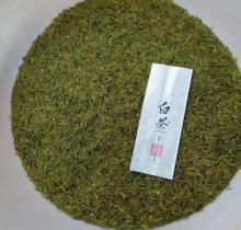 广州银利茶叶博览中心5