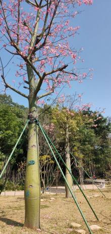 同沙生态公园12