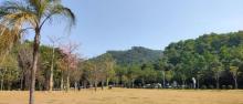 同沙生态公园11