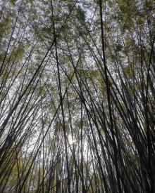同沙生态公园6