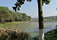 同沙生态公园10