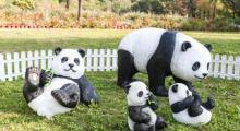 罗南生态园15