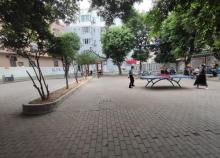 东郊公园2