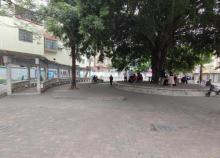 东郊公园3