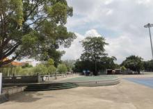 龙岗公园3