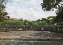 龙岗公园1