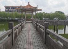 龙岗公园4