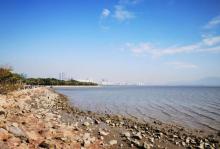 深圳湾公园25