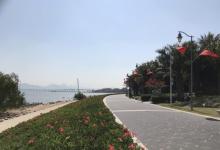 深圳湾公园19