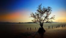 深圳湾公园3