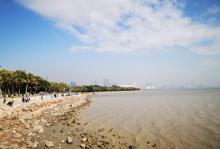 深圳湾公园29