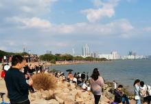 深圳湾公园13
