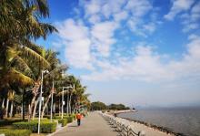 深圳湾公园27