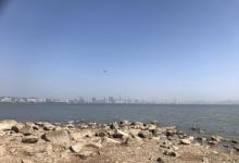 深圳湾公园17