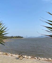 深圳湾公园22
