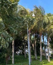 深圳湾公园23
