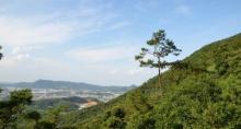 叱石风景区27