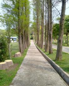 叱石风景区20