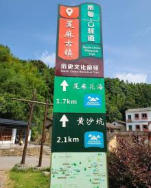 广州从化莲麻花海10