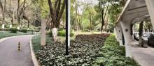 狮子岭公园1