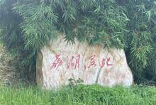 荔湖湿地3