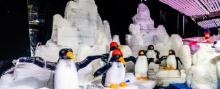 华南mall哈尔滨冰雪大世界2