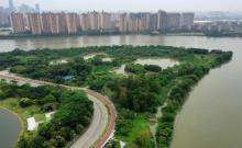 大学城湾咀头湿地公园1