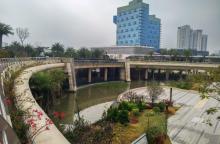 金凤凰广场10