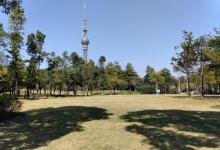 佛山电视塔4