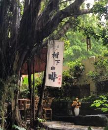 从前慢森林书房・咖啡7